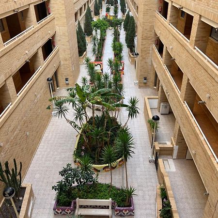 Apartamento Oropesa Marinador Оропеса-дель-Мар Екстер'єр фото