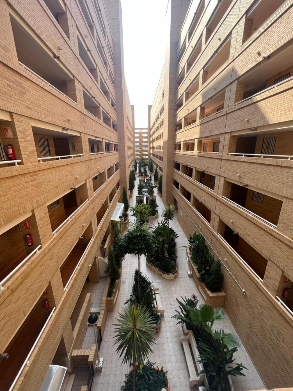 Apartamento Oropesa Marinador Оропеса-дель-Мар Екстер'єр фото