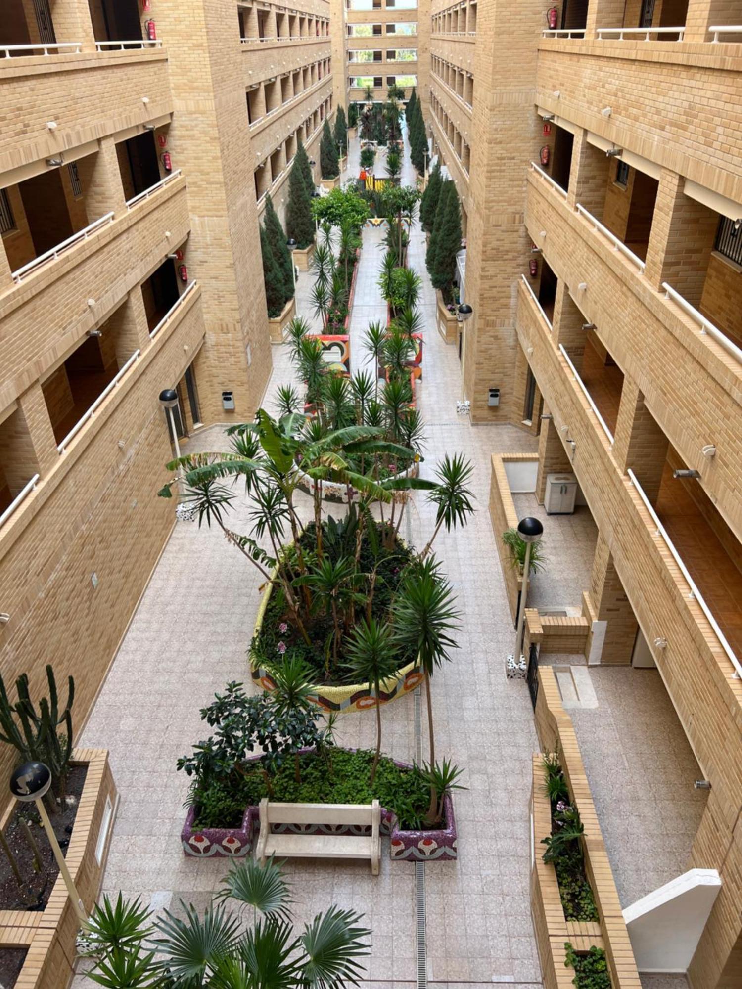 Apartamento Oropesa Marinador Оропеса-дель-Мар Екстер'єр фото